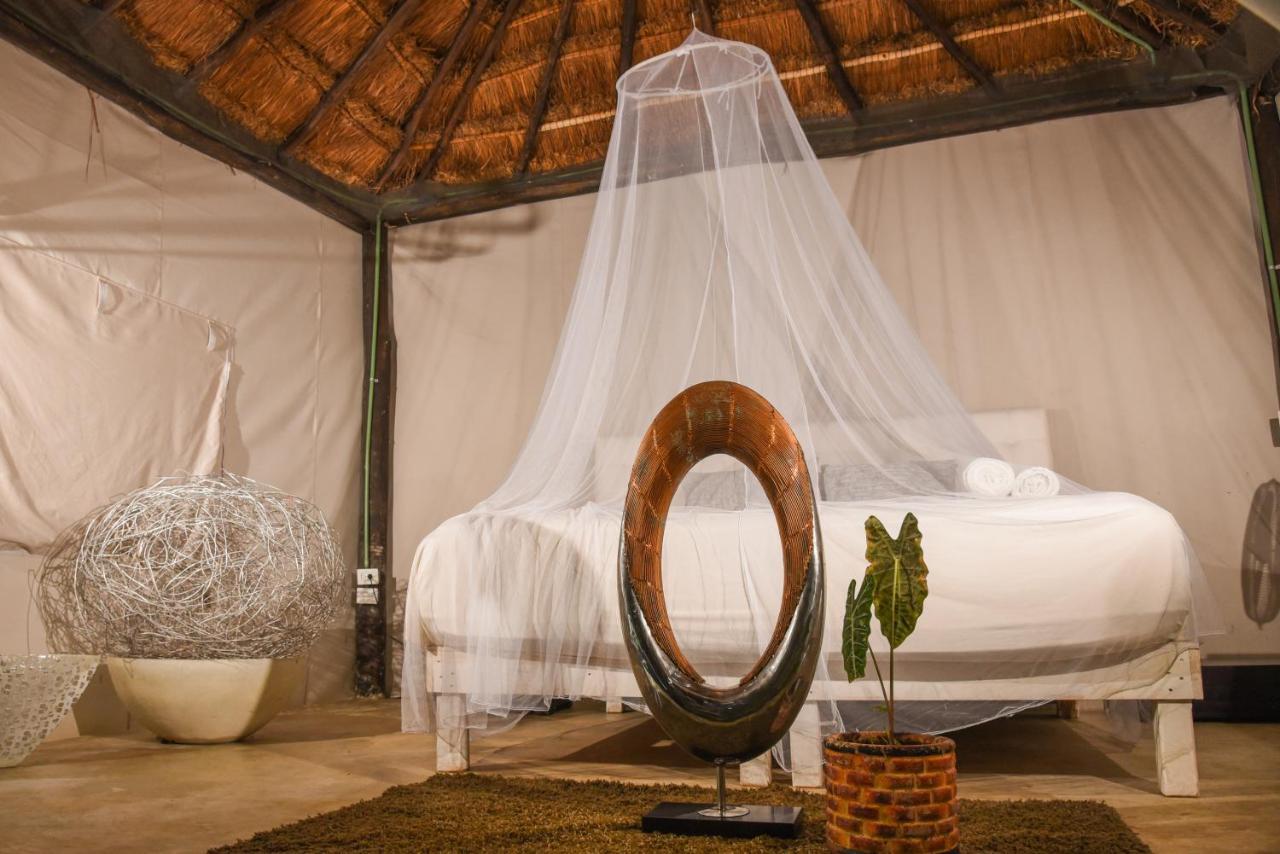 Itaka Glamping Cabanas & Loft Playa del Carmen Exterior foto